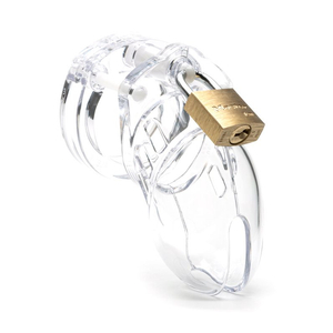CB6000S Chastity Device