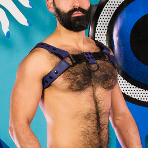 Snap Bulldog Harness - Blue