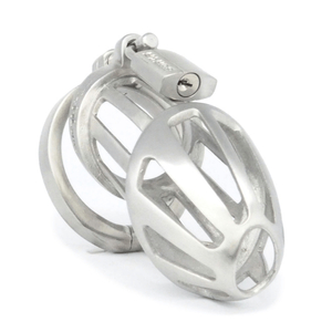 Stainless Steel Chastity Device - Large