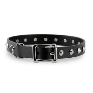 .75" Studded Dog Collar