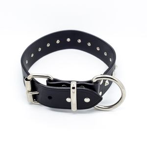 1.5" Studded Dog Collar