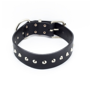 1.5" Studded Dog Collar