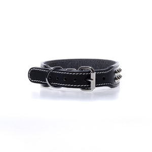 Studded Dog Collar - 2 Rows