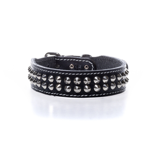 Studded Dog Collar - 2 Rows