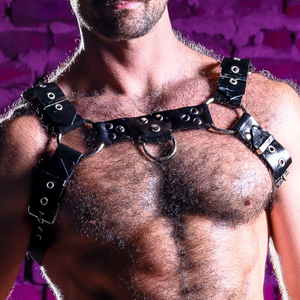 Heavy Duty Rubber Bulldog Harness