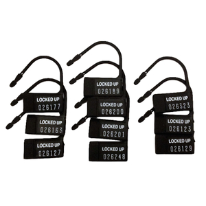 Plastic Numbered Chastity Device Locks